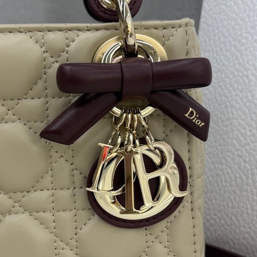 Mini Lady Dior Bag