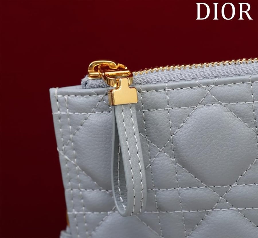 Large Dior Caro Daily Pouch