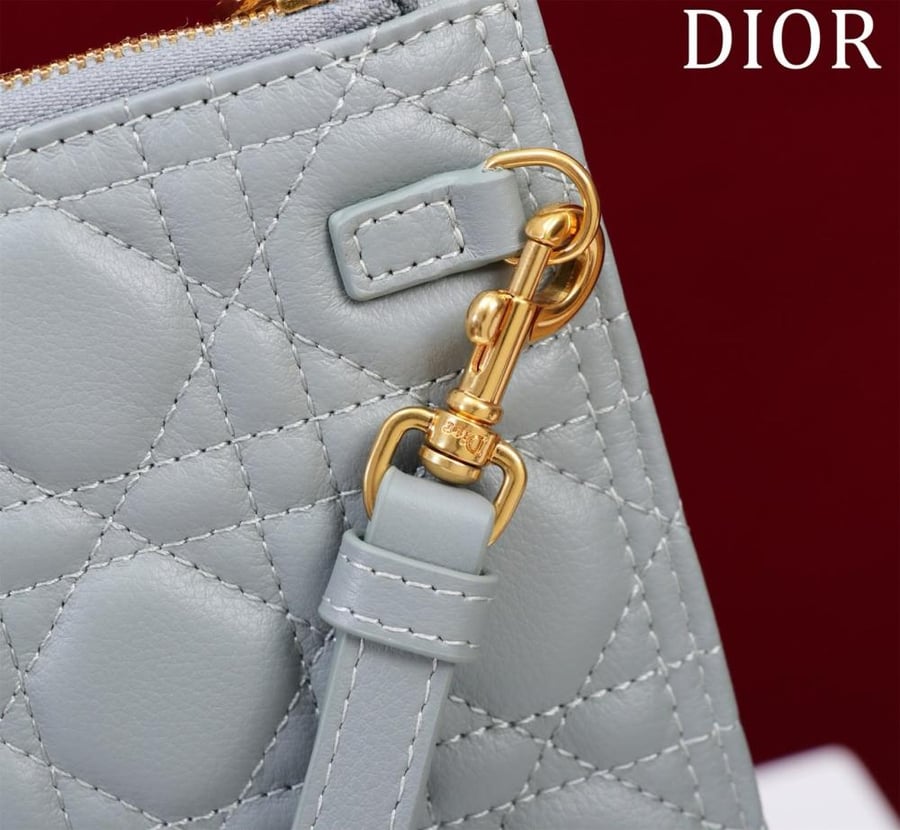 Large Dior Caro Daily Pouch