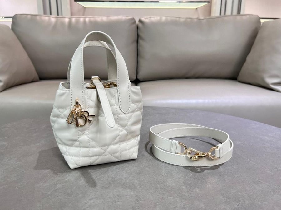 Dior Toujours Vertical Nano Tote Bag