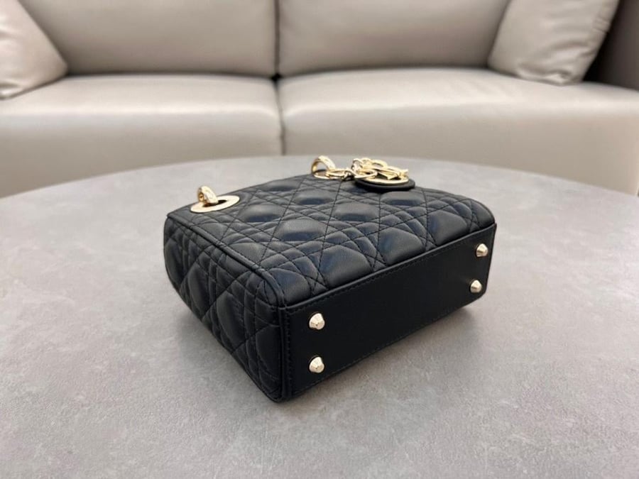 Mini Lady Dior Bag