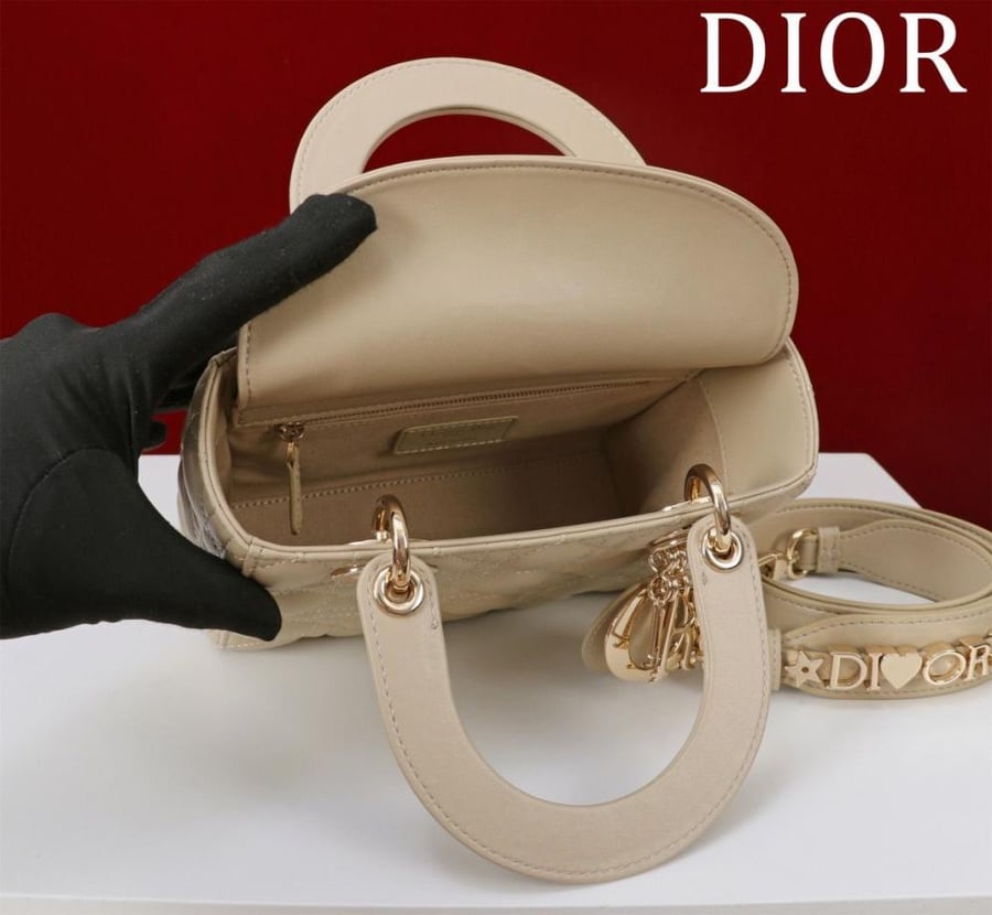 Small Lady Dior My ABCDior Bag