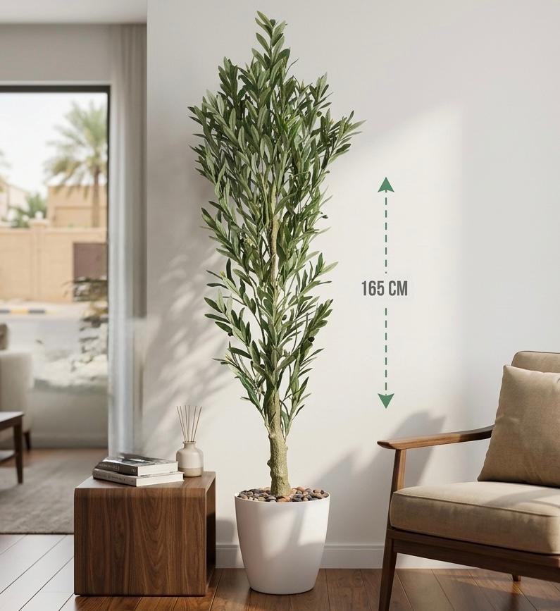 The Mediterranean Olive Artisan Tree | Garden From Zeniture