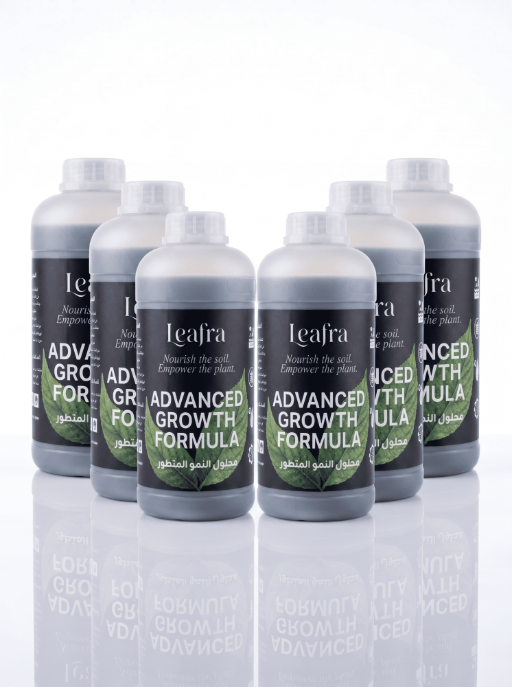 5 refill + 1 refill free (Advance)