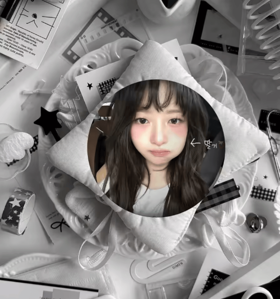 بروش وونيونغ ( ايف ) IVE WONYOUNG