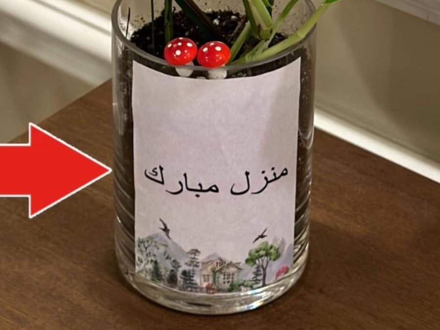 تصميم ملصق مخصص بأختيارك  للفازه ولجميع النبتات