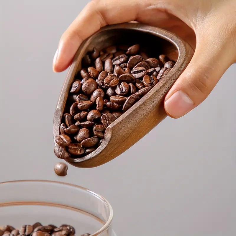 كوب توزيع إسبريسو خشبي ووعاء بن وتصنيف تذوق من الخشب الطبيعي