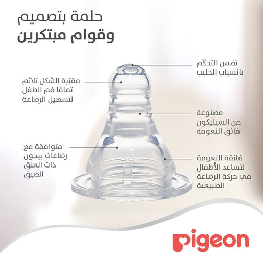 بيجون رضاعة مزخرفة فرويت ٢٤٠ مل