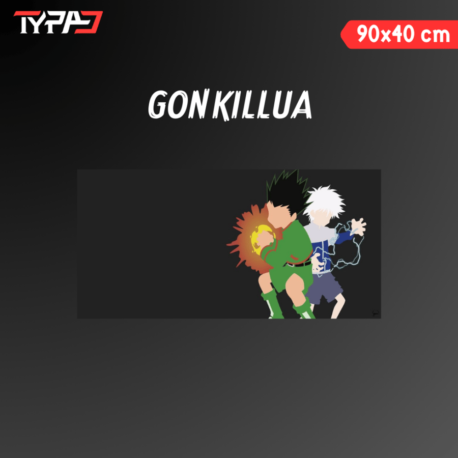 gon killua