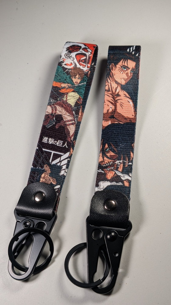 Attack on Titan medal (double-sided image)