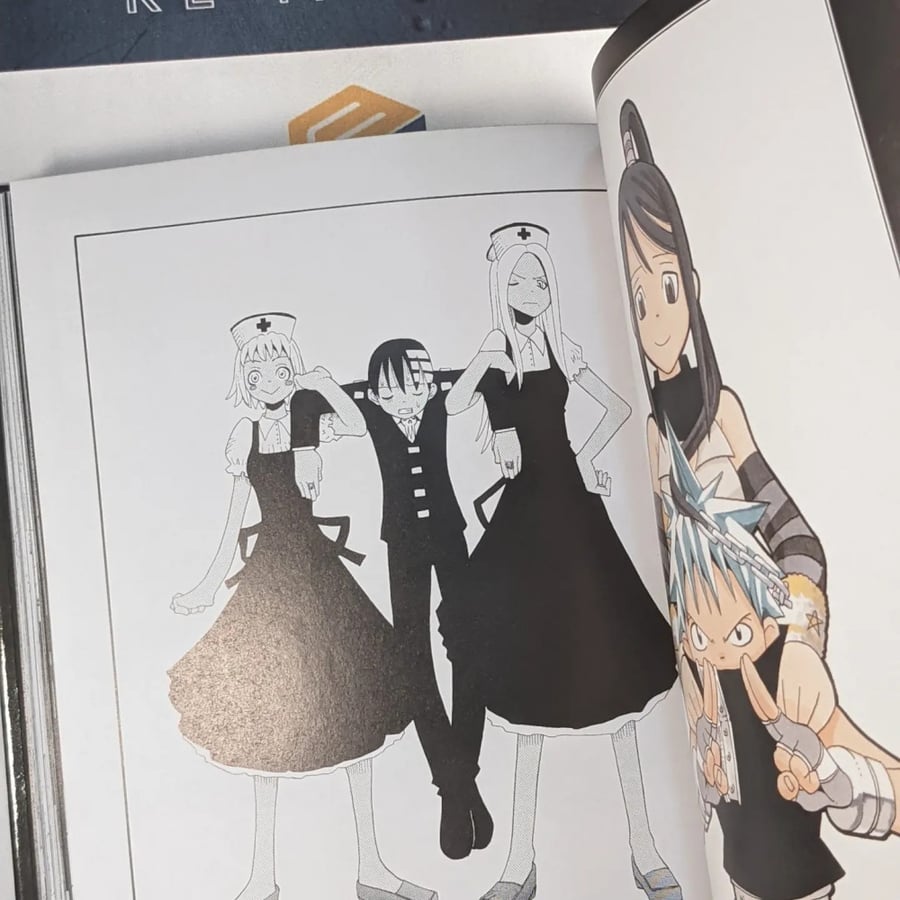 Manja Soul Eater special edition volume 3, heavy cover