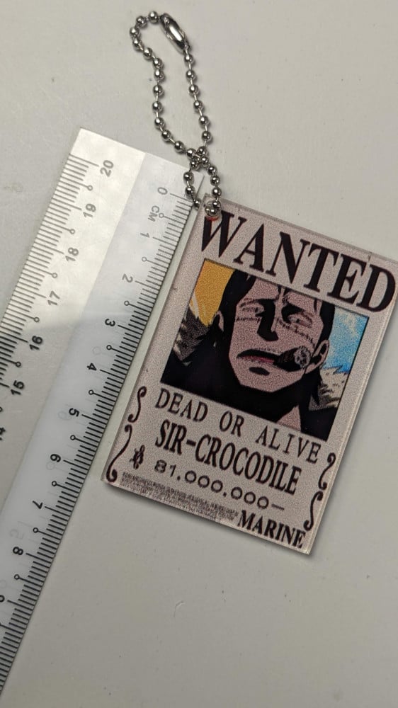 Frankie acrylic medal One Piece
