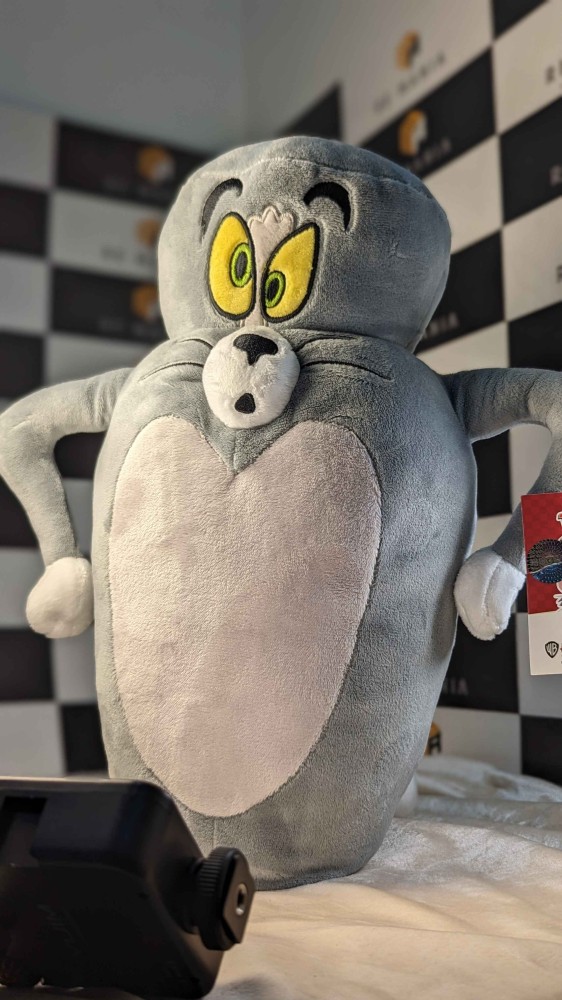 Tom doll from Tom and Jerry