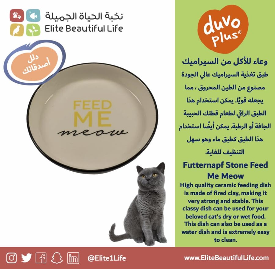 دوفو طبق الأكل من الخزف Feeding Bowl Stone Happy Cat