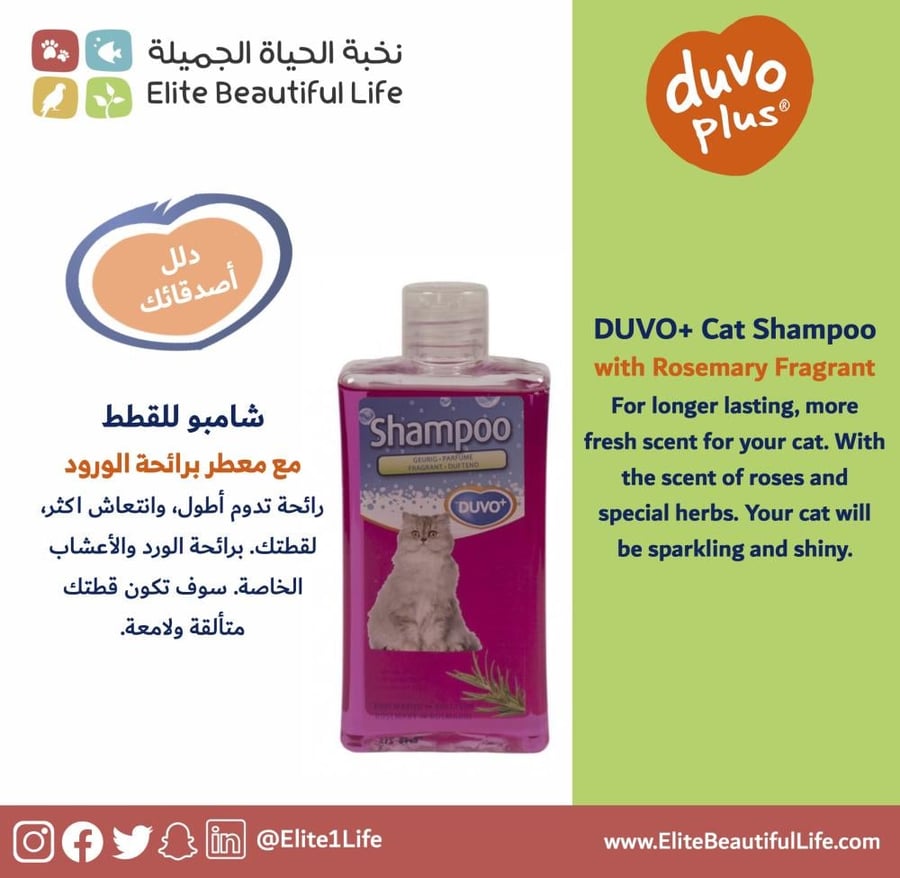 دوفو شامبو القطط بعطر الروزماري Cat Shampoo Rosemary Fragrance