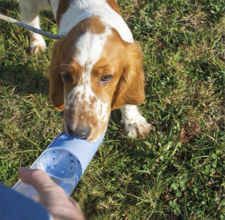 زجاجة شرب للكلاب User-Friendly Drinking Bottle for Dogs