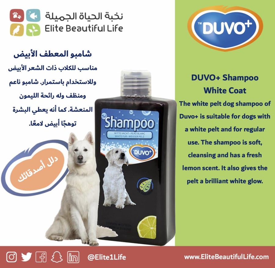 دوفو شامبو المعطف الأبيض Shampoo White Coat
