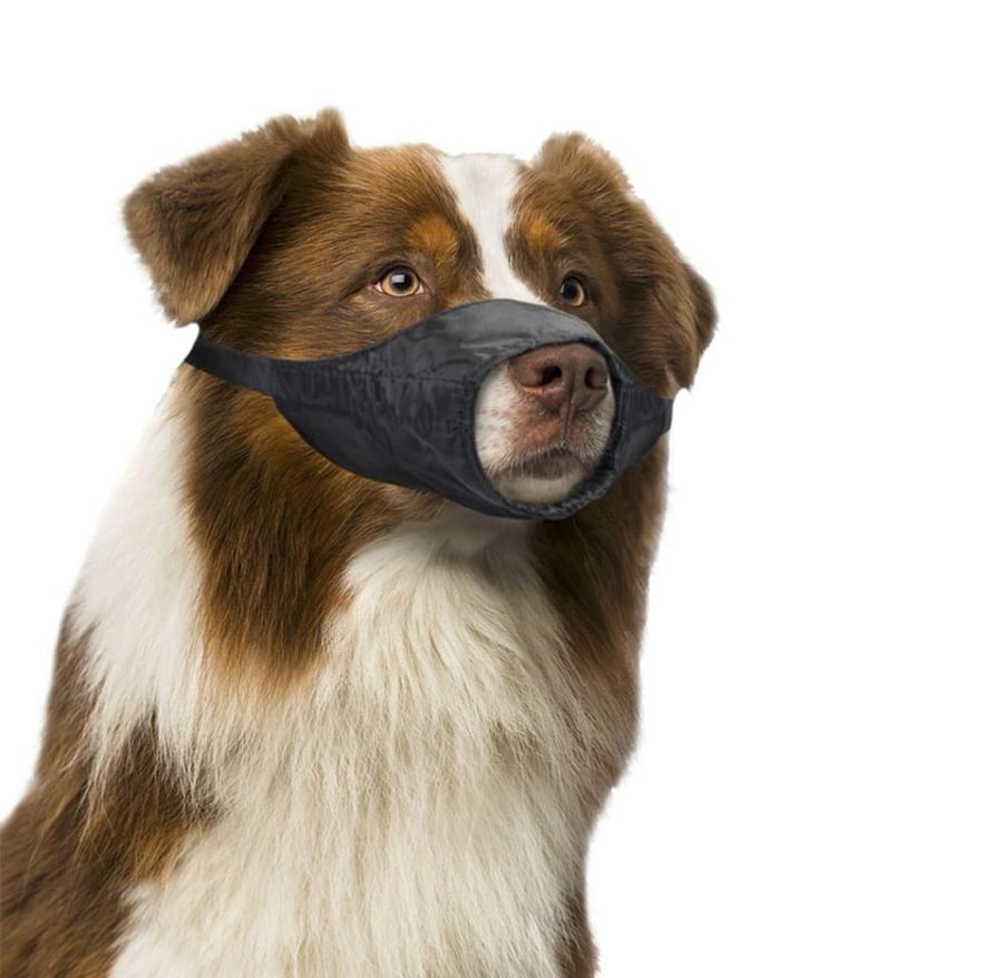 دوفو كمامة الكلب Dog Muzzle