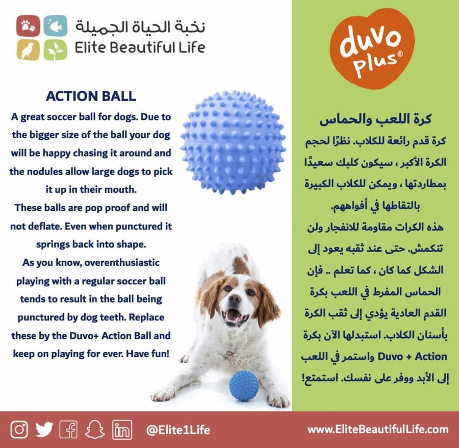 دوفو كرة اللعب والحماس ACTION BALL
