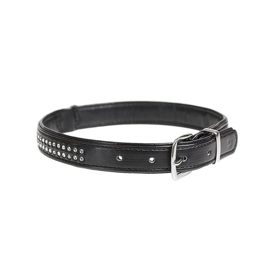 طوق للكلاب المقاس XL