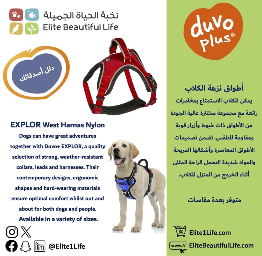 ديوفو أطواق نزهة الكلاب مقاس XXL