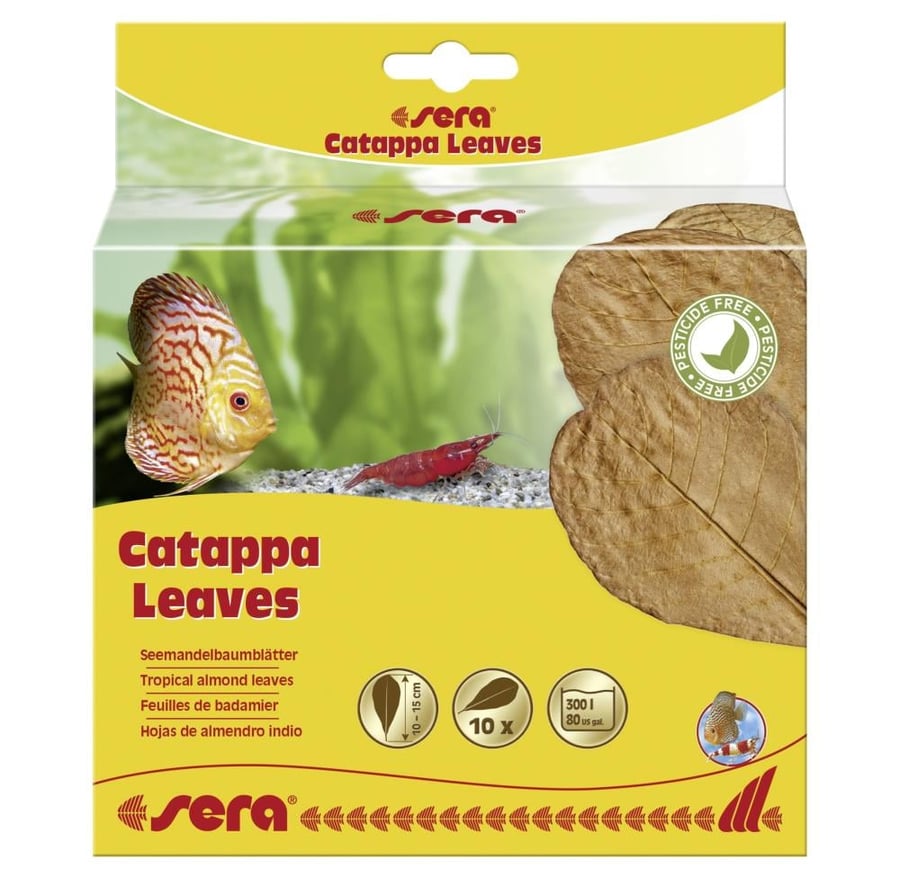 سيرا ورق اللوز Sera Almond leaf