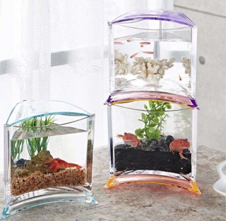 ايستا حوض للفايتر ISTA Fighter Aquarium