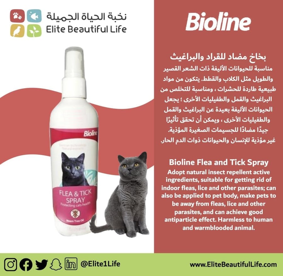 بايولاين بخاخ مضاد للقراد والبراغيث للقطط 175مل Bioline Flea and Tick Spray