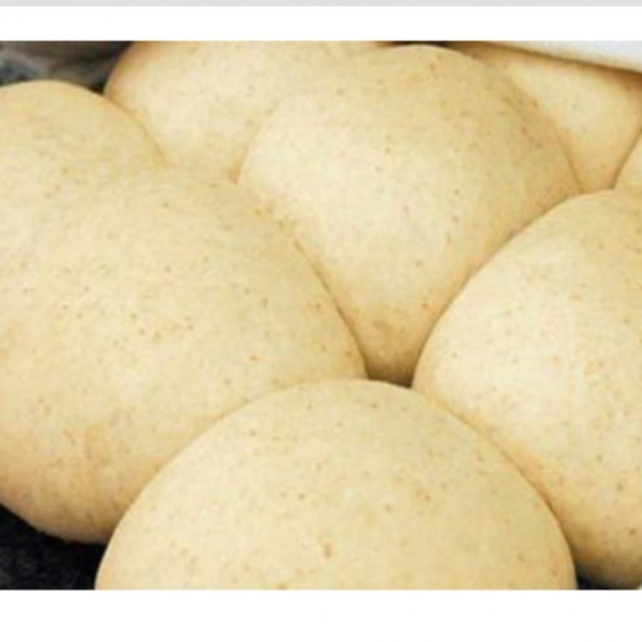 محسن خبز
