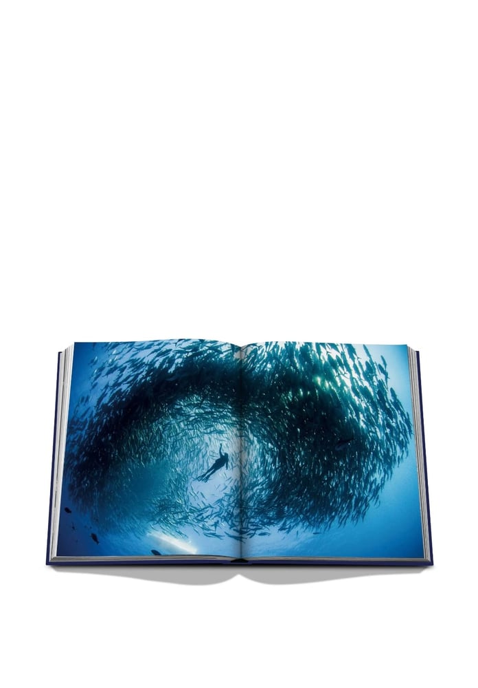 Assouline (Ocean) كتاب
