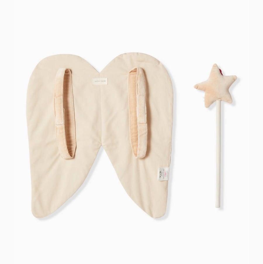 Fairy Dress Set