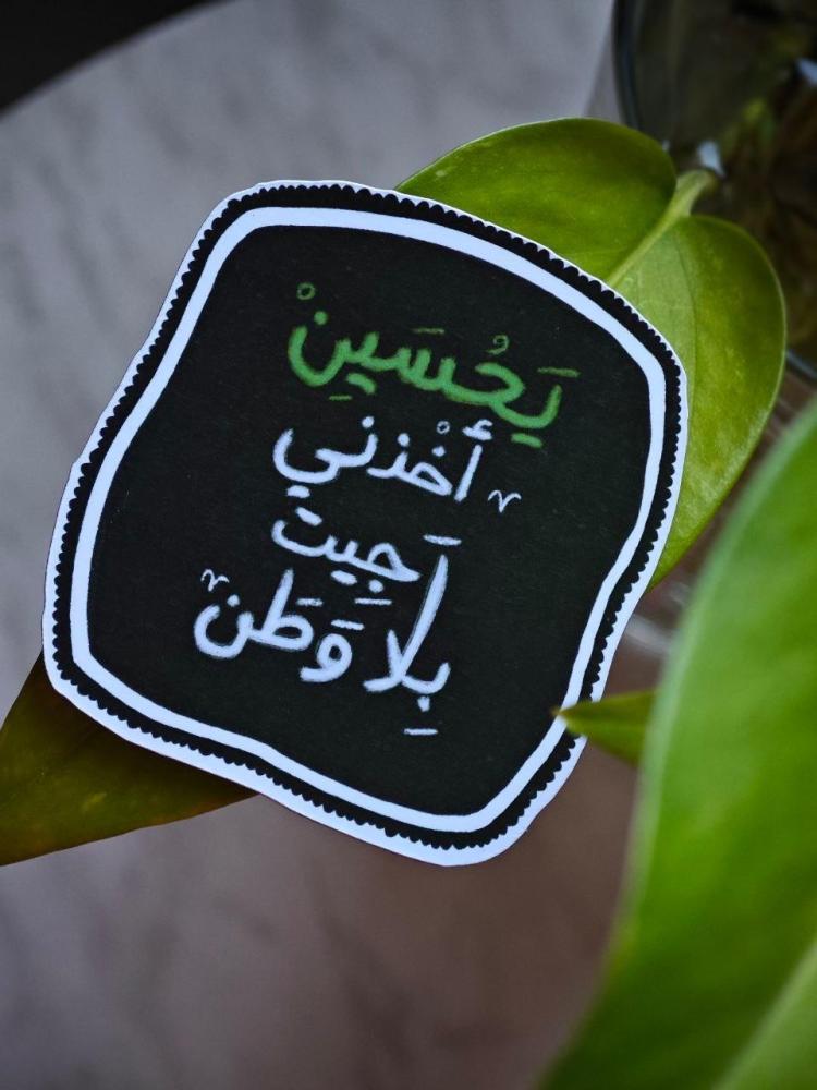 مغناطيسات منوعة