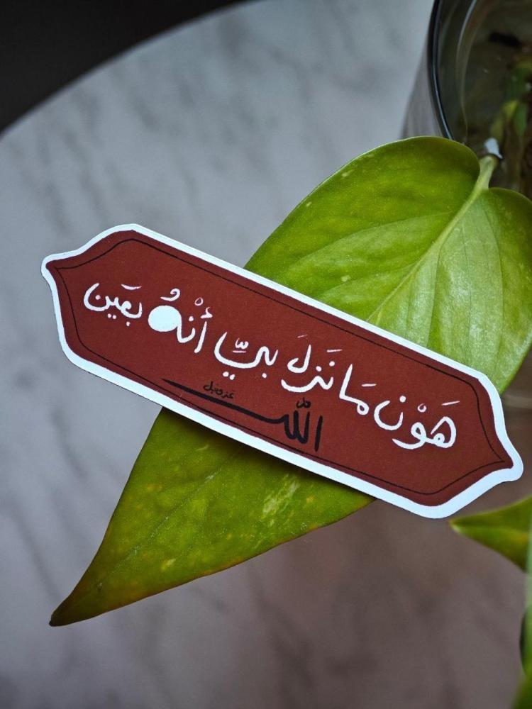 مغناطيسات منوعة