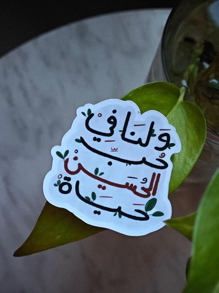 مغناطيسات منوعة