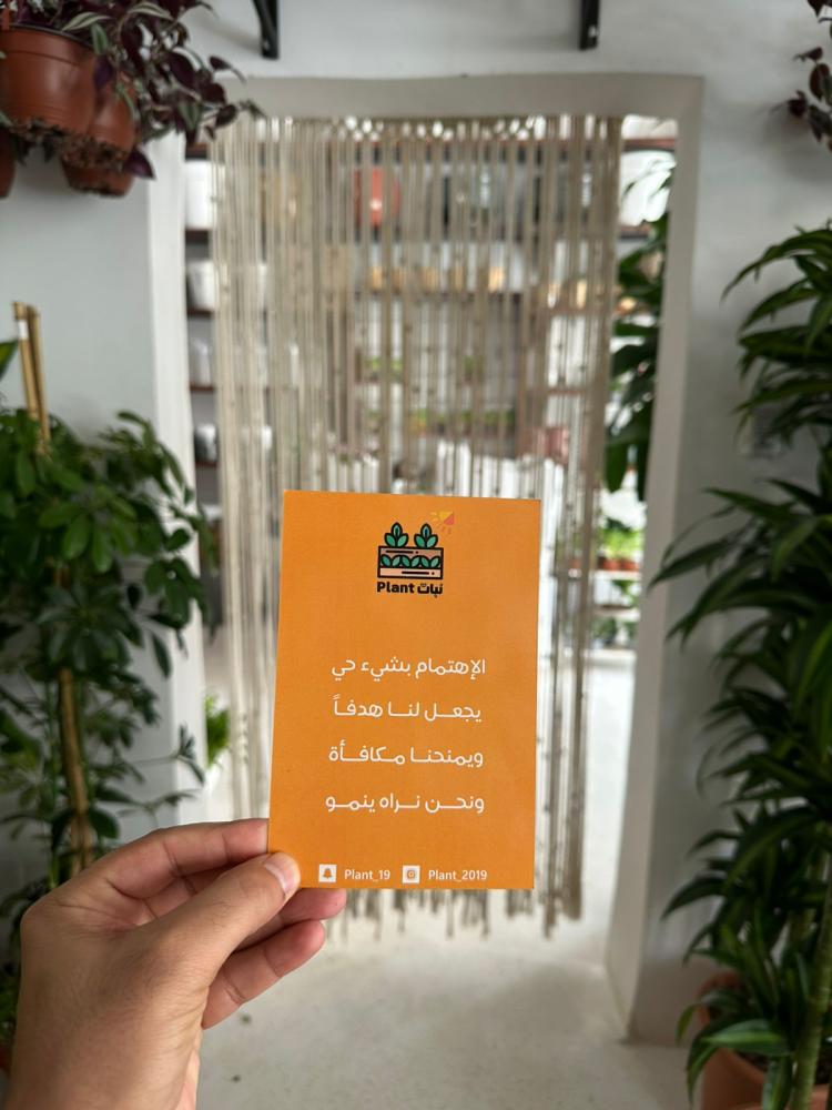 زاميا مع بكج اهداء واصيص ابيض