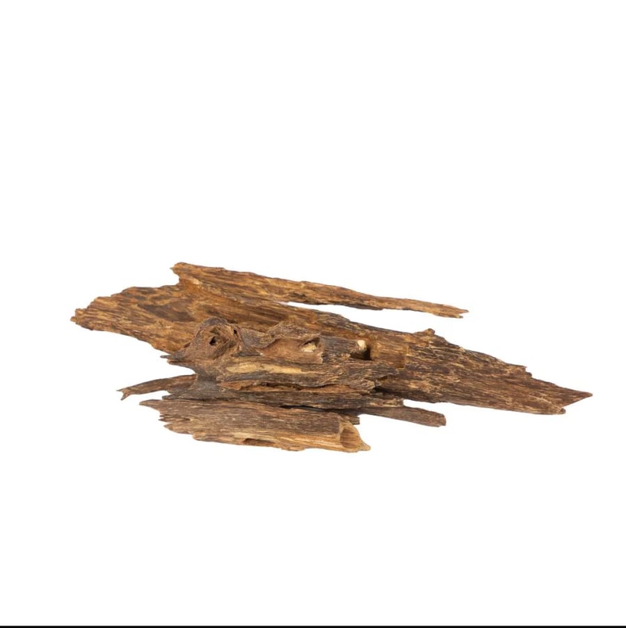 نوادر قديمة