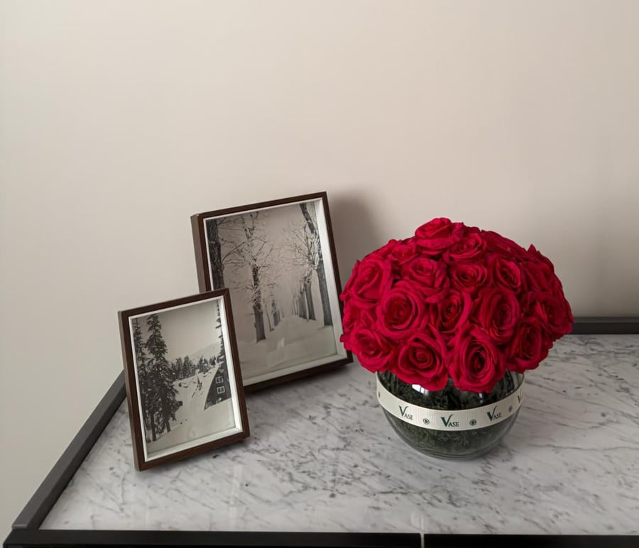 رويال رد بلوم Royal Red Bloom