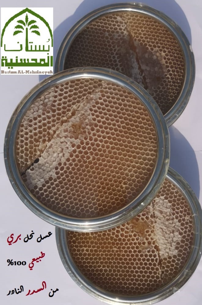 عسل السدر البري النادر