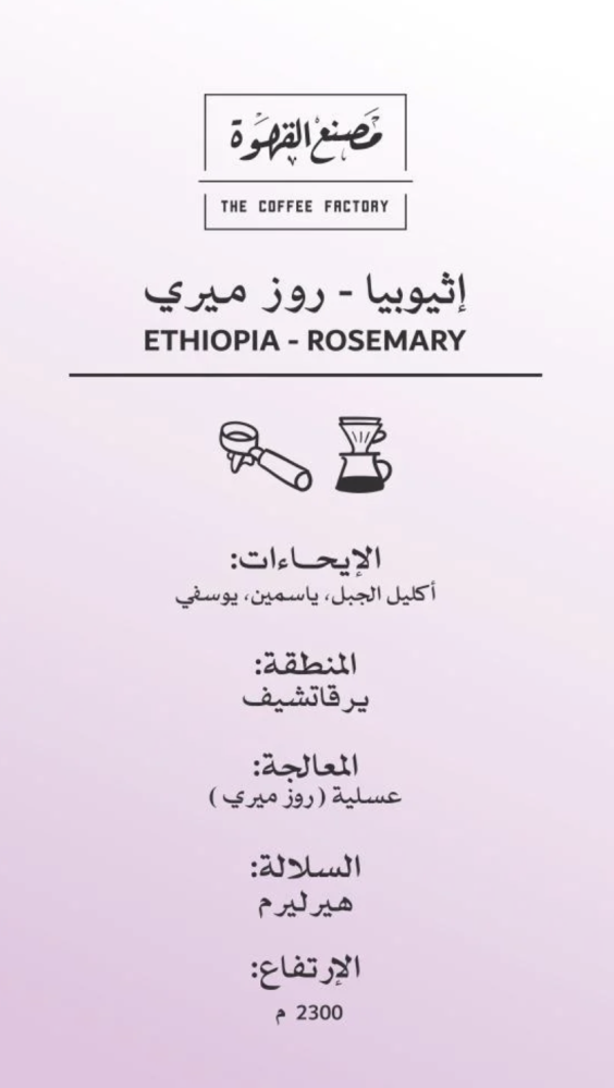 إثيوبيا - روز ميري | Ethiopia - Rosemary 250g