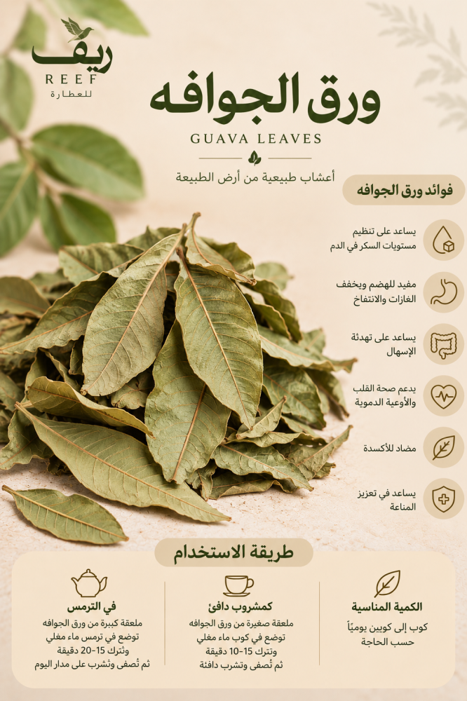 ورق الجوافه