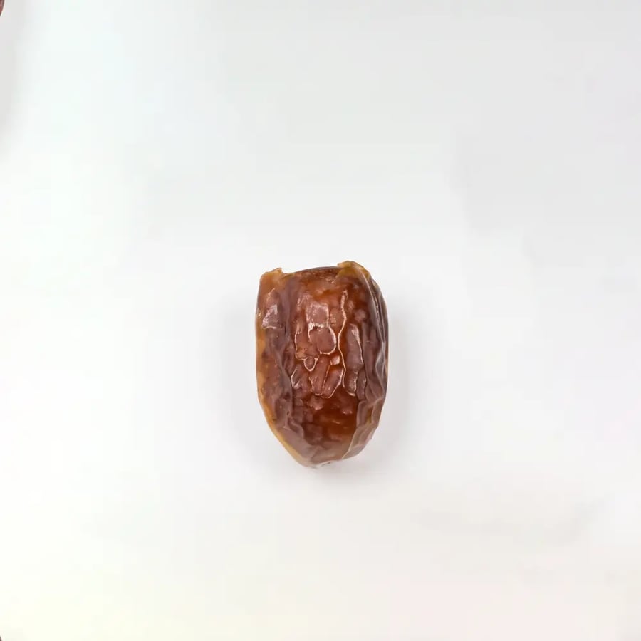 ربيعة فاخر