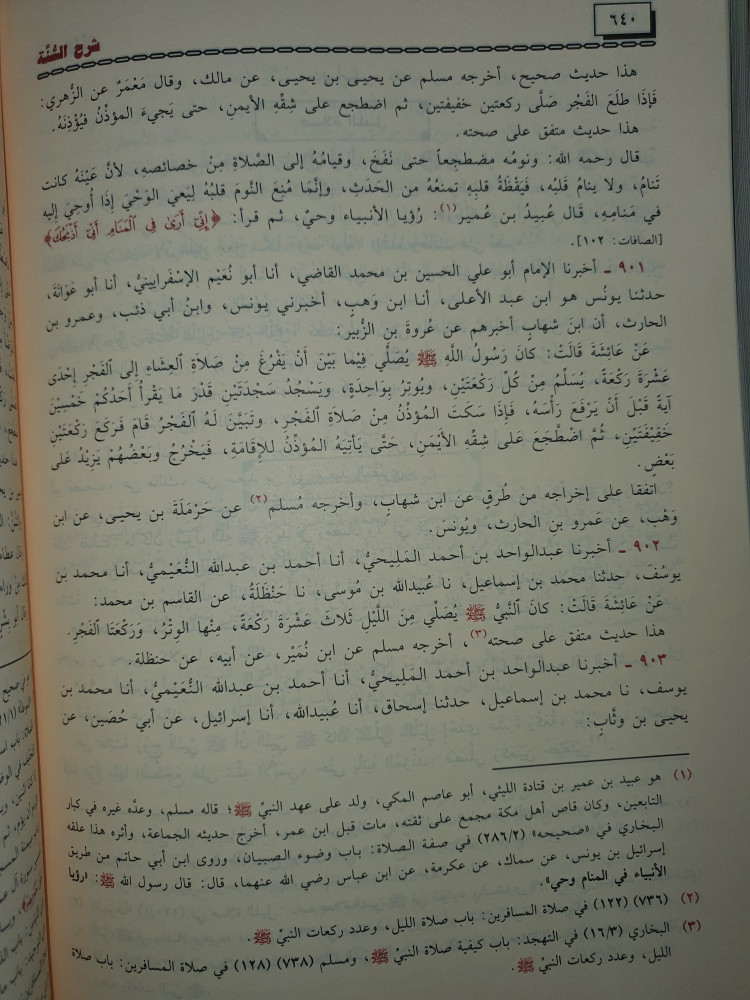 شرح السنة 3/1