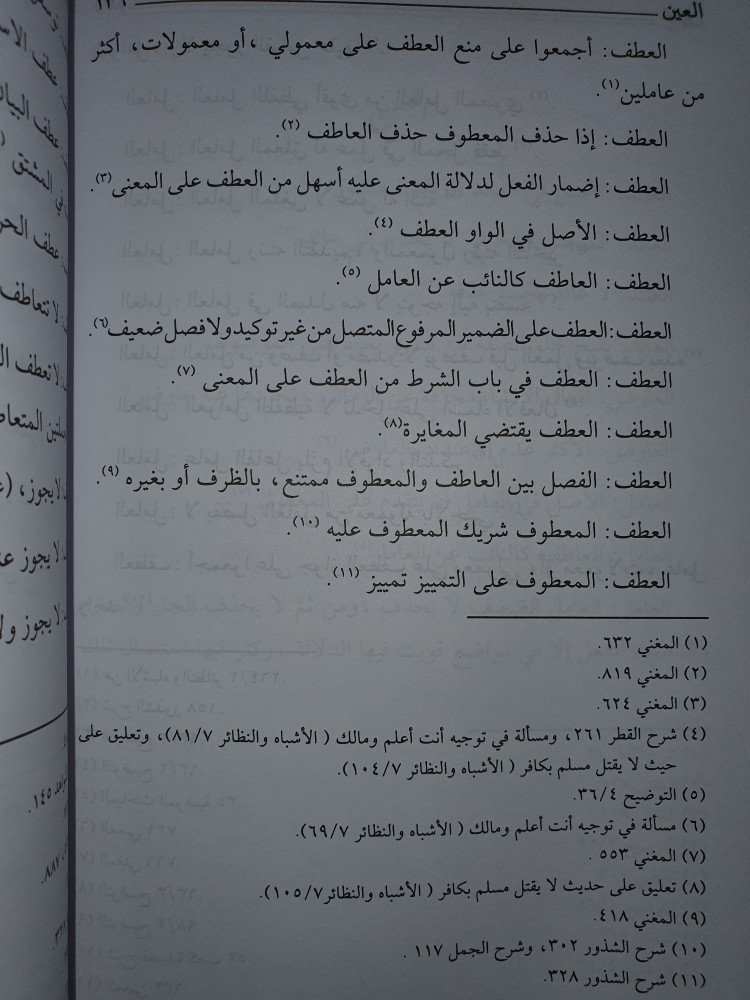 القواعد والاصول الكلية عند ابن هشام الانصاري