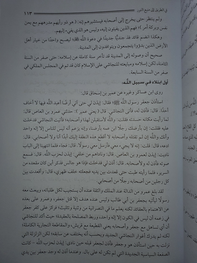 عمرو بن العاص الامير المجاهد