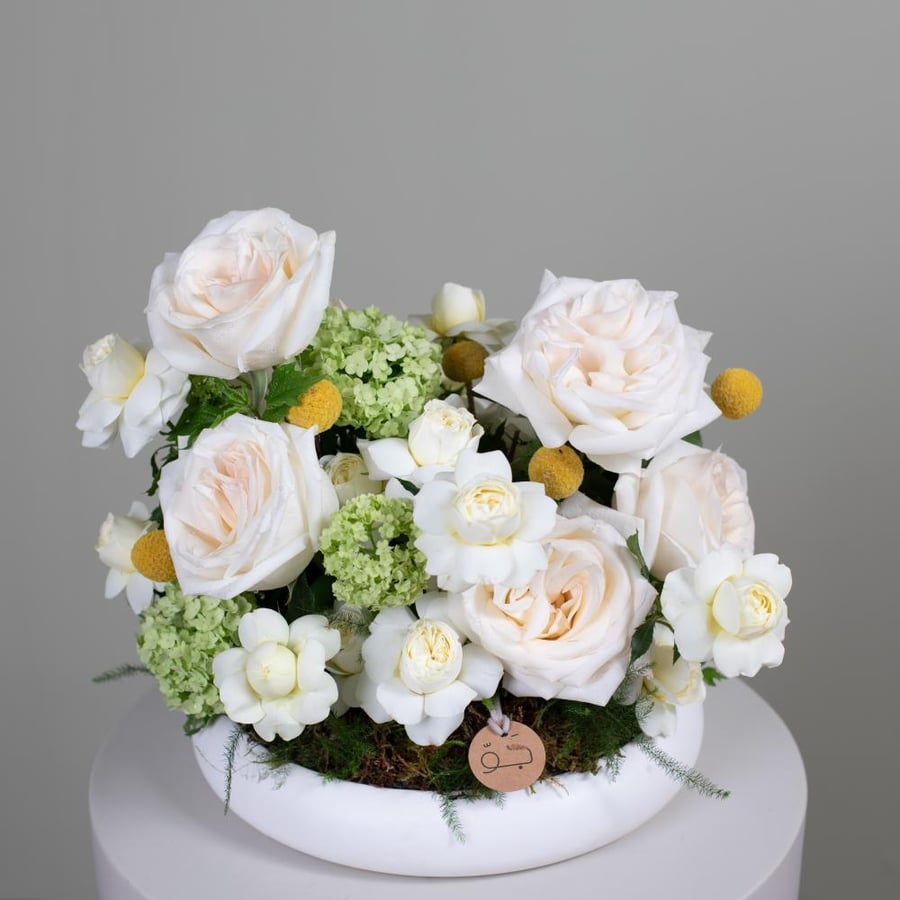 JAU ARRANGMENT