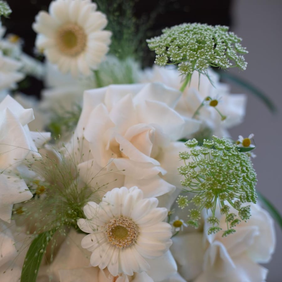 JAU ARRANGMENT
