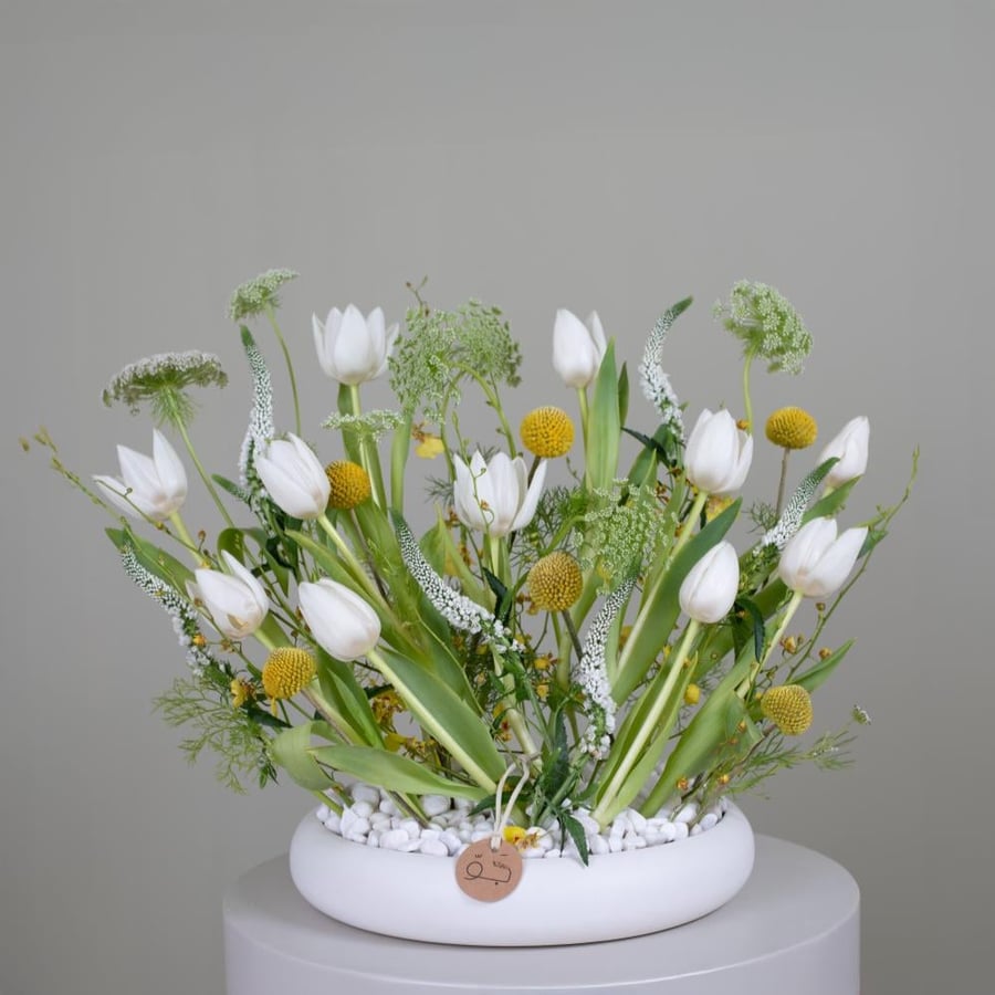 JAU ARRANGMENT