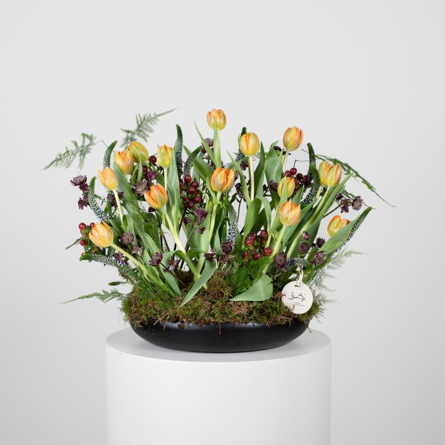JAU ARRANGMENT