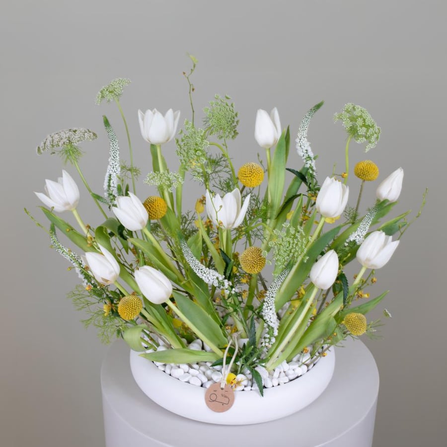 JAU ARRANGMENT