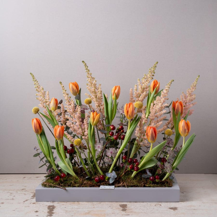 JAU ARRANGMENT